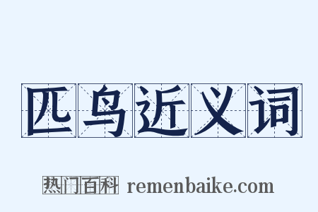 匹鸟近义词是什么意思的图片